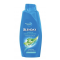 Blendax Şampuan 500Ml*12(Aloe Vera)Kuru Saçlar