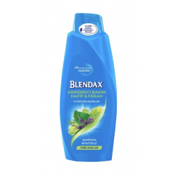 Blendax Şampuan 500Ml*12(Isırgan Özlü)Dökülme Eğlm